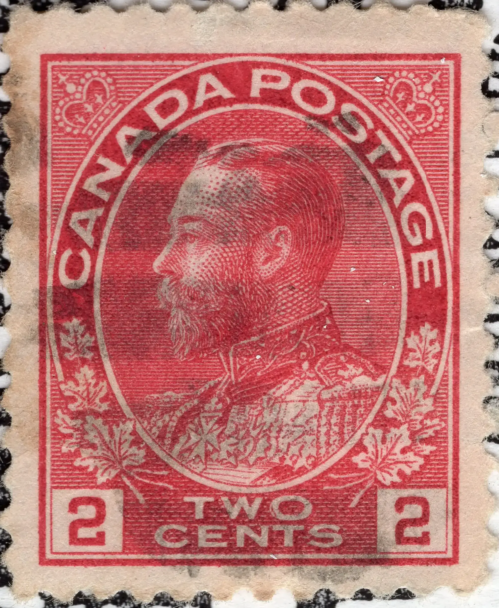 2¢C f z2 fa sty.webp